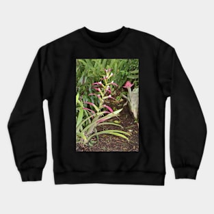 Bromeliads Crewneck Sweatshirt